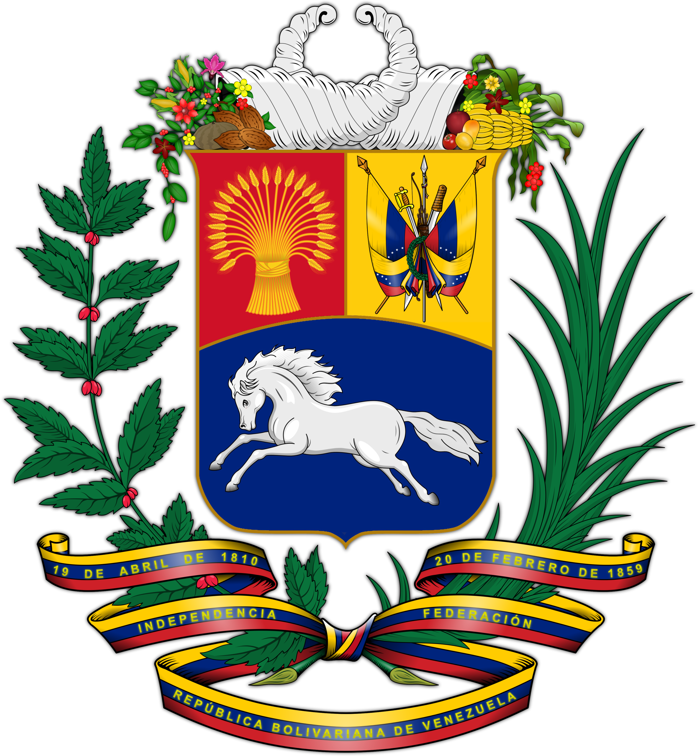 Economical IPTV Service in Venezuela
